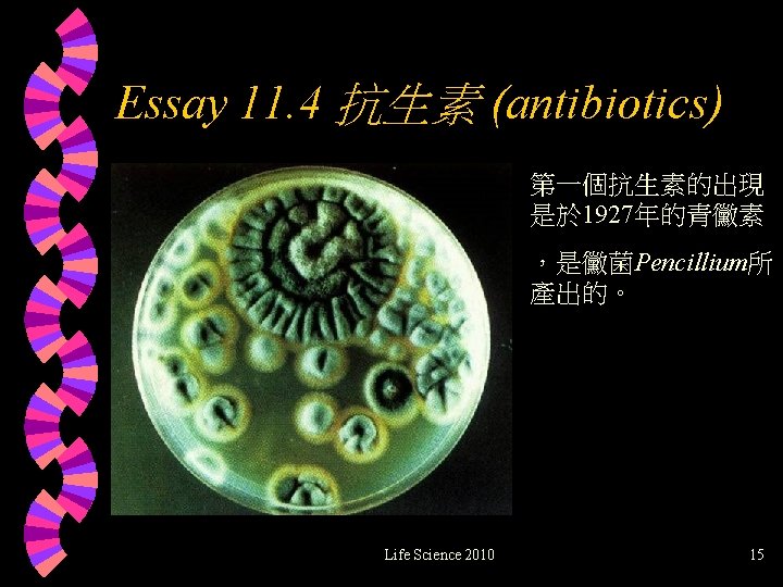 Essay 11. 4 抗生素 (antibiotics) 第一個抗生素的出現 是於 1927年的青黴素 ，是黴菌Pencillium所 產出的。 Life Science 2010 15