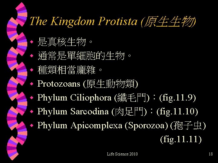 The Kingdom Protista (原生生物) w w w w 是真核生物。 通常是單細胞的生物。 種類相當龐雜。 Protozoans (原生動物類) Phylum