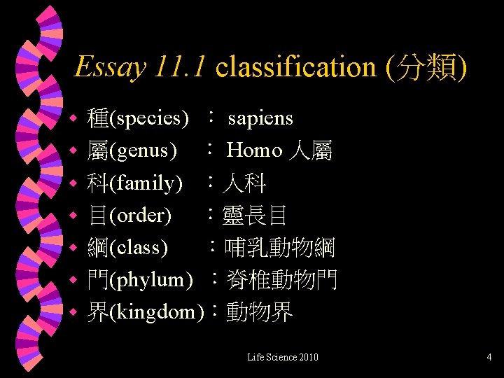 Essay 11. 1 classification (分類) w w w w 種(species) ： sapiens 屬(genus) ：