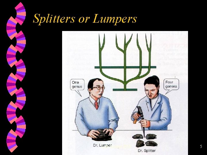 Splitters or Lumpers Life Science 2010 5 