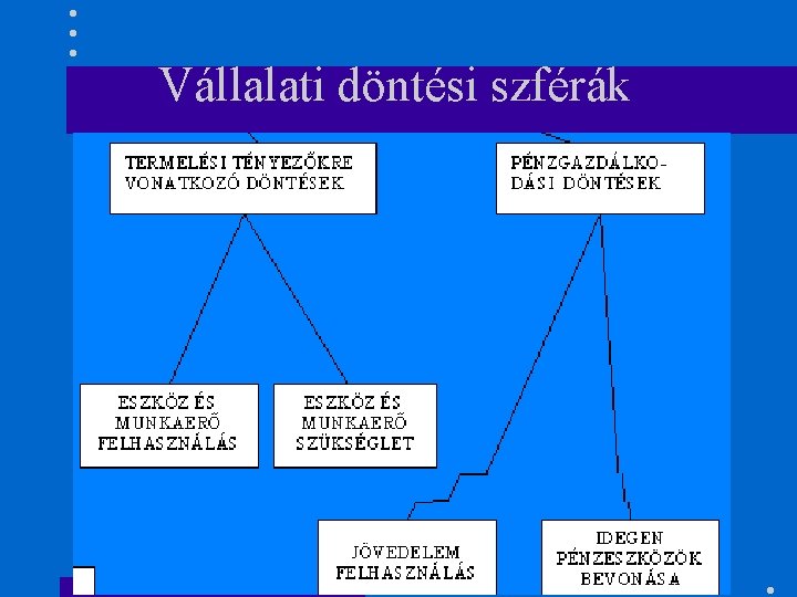 Vállalati döntési szférák 