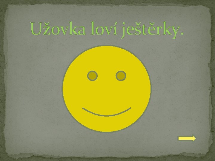 Užovka loví ještěrky. 