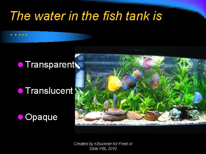 The water in the fish tank is …. . l Transparent l Translucent l The water in the fish tank is …. . l Transparent l Translucent l