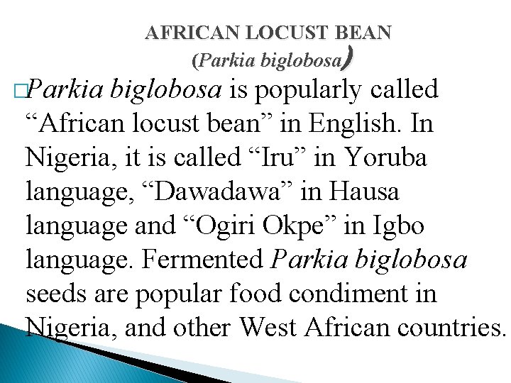 �Parkia AFRICAN LOCUST BEAN (Parkia biglobosa) biglobosa is popularly called “African locust bean” in