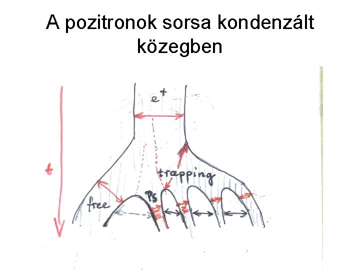 A pozitronok sorsa kondenzált közegben 