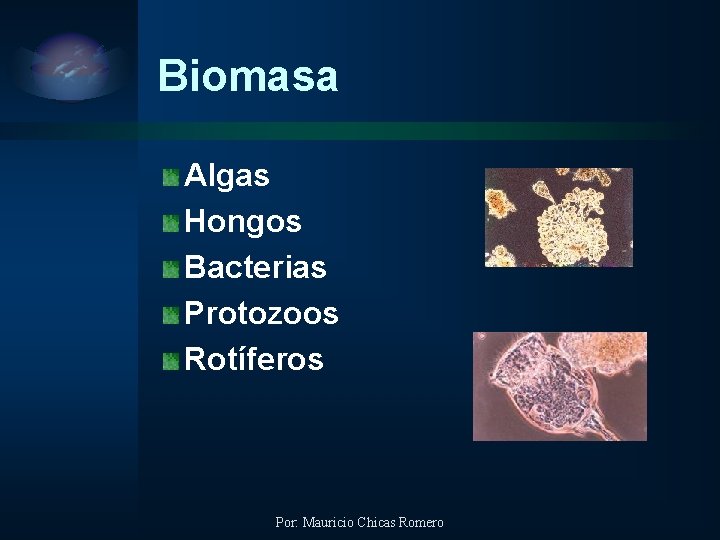 Biomasa Algas Hongos Bacterias Protozoos Rotíferos Por: Mauricio Chicas Romero 