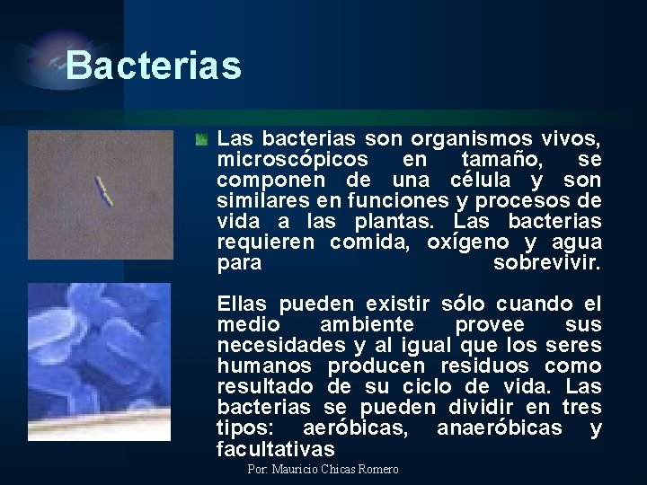 Bacterias Las bacterias son organismos vivos, microscópicos en tamaño, se componen de una célula