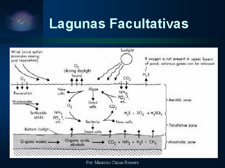 Lagunas Facultativas Por: Mauricio Chicas Romero 