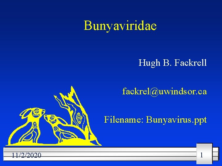 Bunyaviridae Hugh B. Fackrell fackrel@uwindsor. ca Filename: Bunyavirus. ppt 11/2/2020 1 