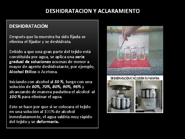 DESHIDRATACION Y ACLARAMIENTO DESHIDRATACIÓN Después que la muestra ha sido fijada se elimina el