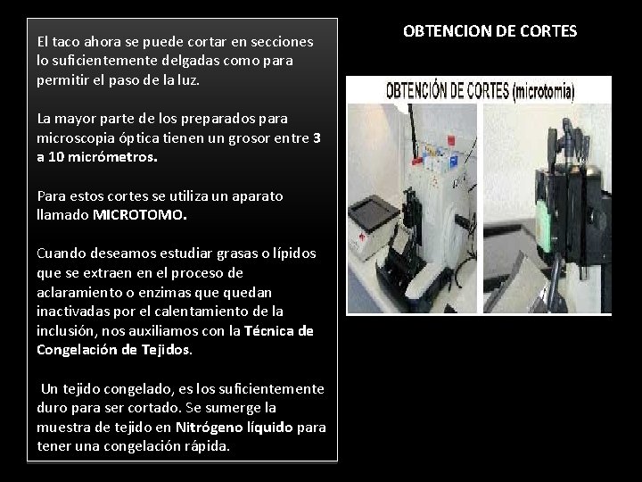 El taco ahora se puede cortar en secciones lo suficientemente delgadas como para permitir