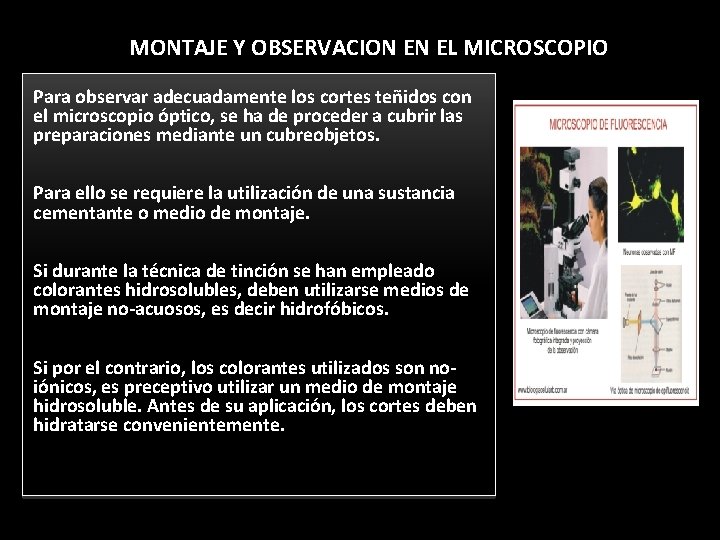 MONTAJE Y OBSERVACION EN EL MICROSCOPIO Para observar adecuadamente los cortes teñidos con el