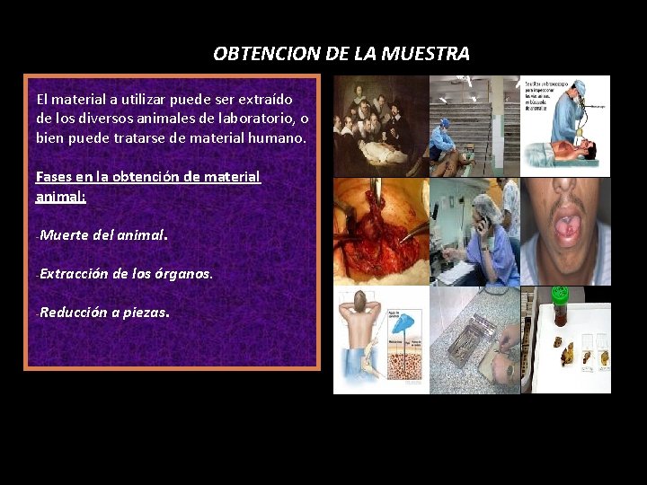 OBTENCION DE LA MUESTRA El material a utilizar puede ser extraído de los diversos