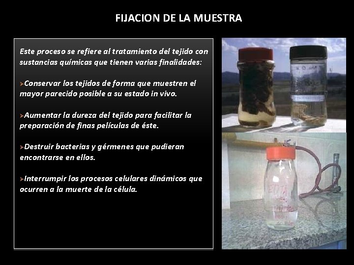 FIJACION DE LA MUESTRA Este proceso se refiere al tratamiento del tejido con sustancias