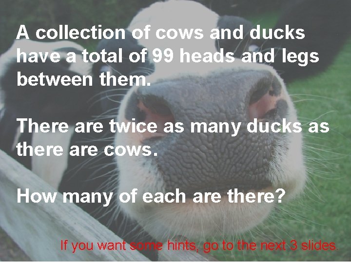 A collection of cows and ducks have a total of 99 heads and legs