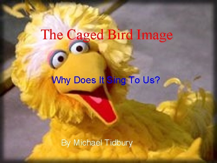 The Caged Bird Image Why Does It Sing To Us? By Michael Tidbury 