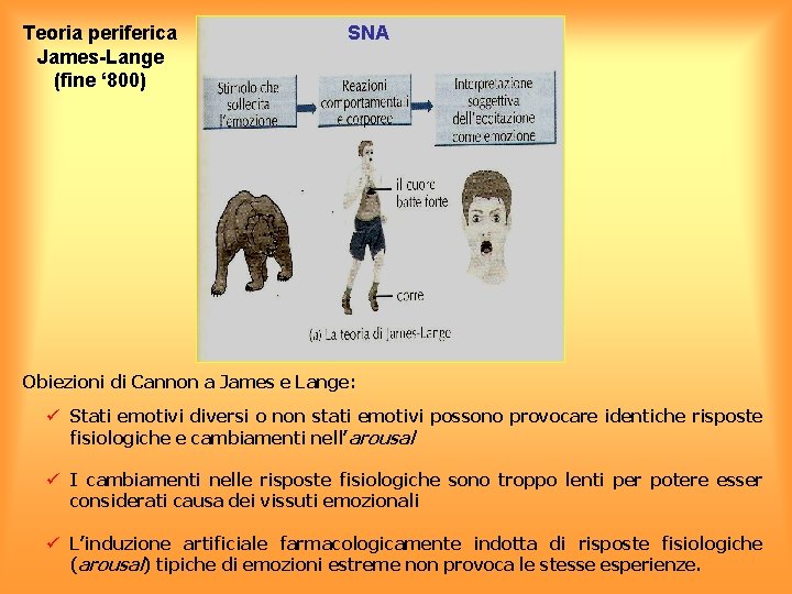 Teoria periferica James-Lange (fine ‘ 800) SNA Obiezioni di Cannon a James e Lange: