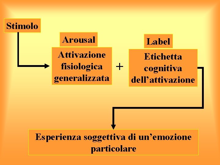Stimolo Arousal Attivazione fisiologica generalizzata Label + Etichetta cognitiva dell’attivazione Esperienza soggettiva di un’emozione