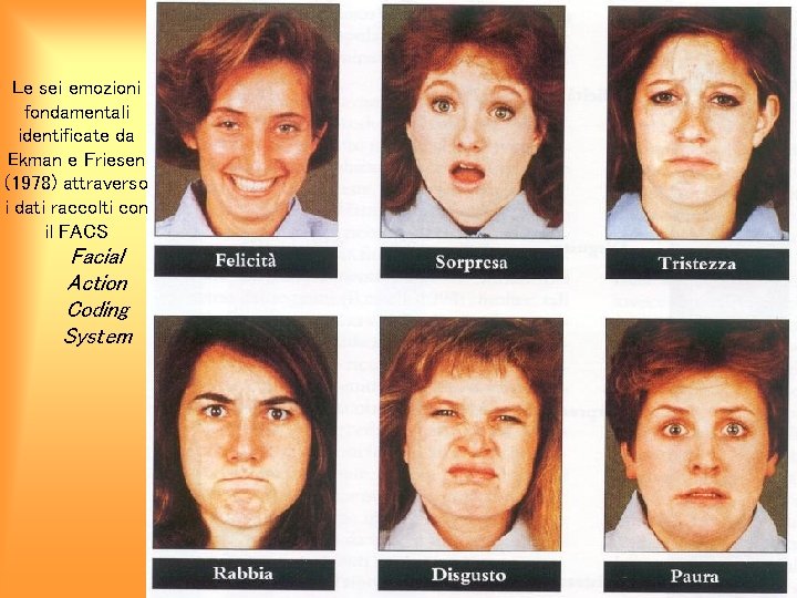 Le sei emozioni fondamentali identificate da Ekman e Friesen (1978) attraverso i dati raccolti