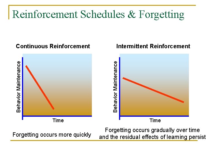 Reinforcement Schedules & Forgetting Intermittent Reinforcement Behavior Maintenance Continuous Reinforcement Time Forgetting occurs more