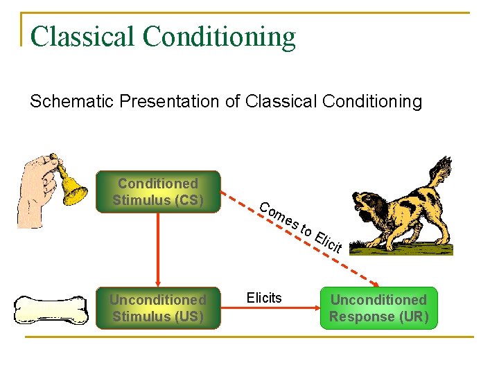 Classical Conditioning Schematic Presentation of Classical Conditioning Conditioned Stimulus (CS) Unconditioned Stimulus (US) Co