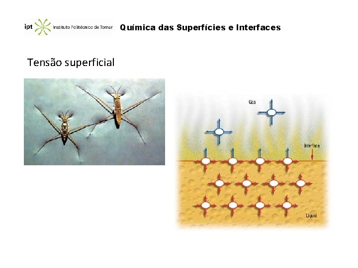 Química das Superfícies e Interfaces Tensão superficial Química das Superfícies e Interfaces Tensão superficial