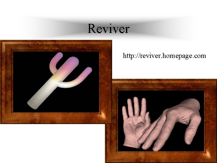 Reviver http: //reviver. homepage. com 