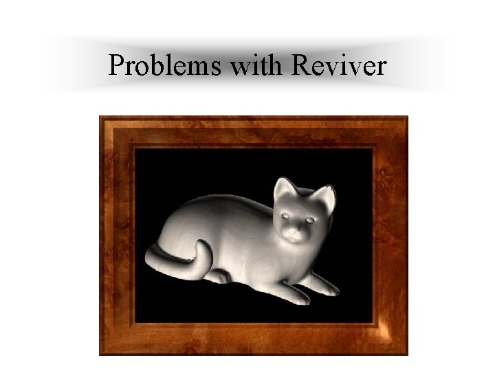 Problems with Reviver 