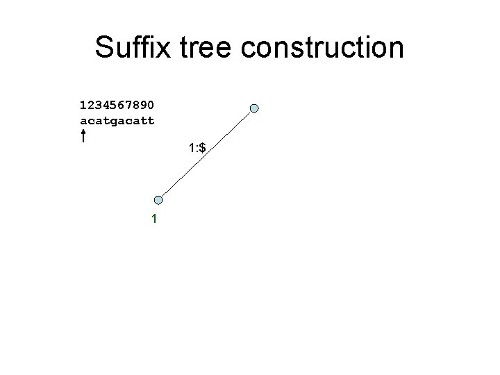 Suffix tree construction 1234567890 acatgacatt 1: $ 1 