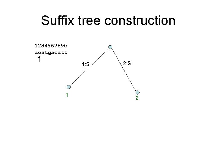 Suffix tree construction 1234567890 acatgacatt 1: $ 1 2: $ 2 