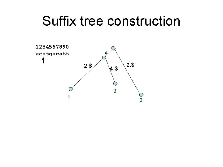 Suffix tree construction 1234567890 acatgacatt a 2: $ 4: $ 2: $ 3 1