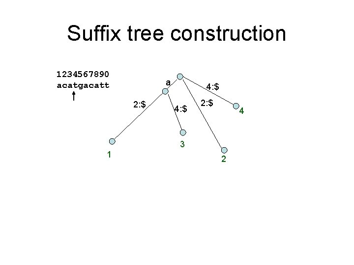 Suffix tree construction 1234567890 acatgacatt a 2: $ 4: $ 2: $ 4 3