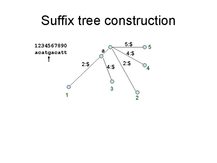 Suffix tree construction 5: $ 1234567890 acatgacatt a 2: $ 5 4: $ 2: