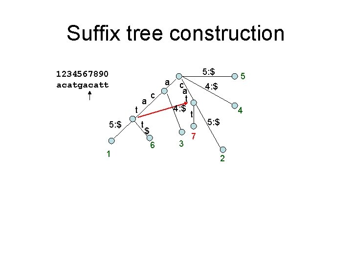 Suffix tree construction 5: $ 1234567890 acatgacatt a t 5: $ 1 a t