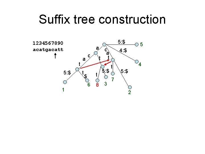 Suffix tree construction 5: $ 1234567890 acatgacatt a t 5: $ 1 a t