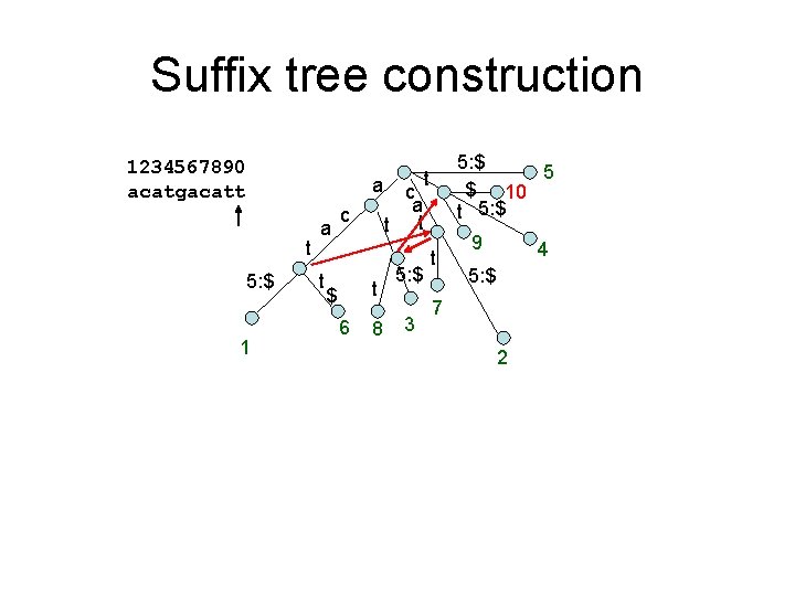 Suffix tree construction 1234567890 acatgacatt a t 5: $ 1 a t c t
