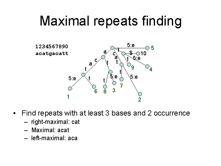 Maximal repeats finding 1234567890 acatgacatt a t 5: e 1 a c t t