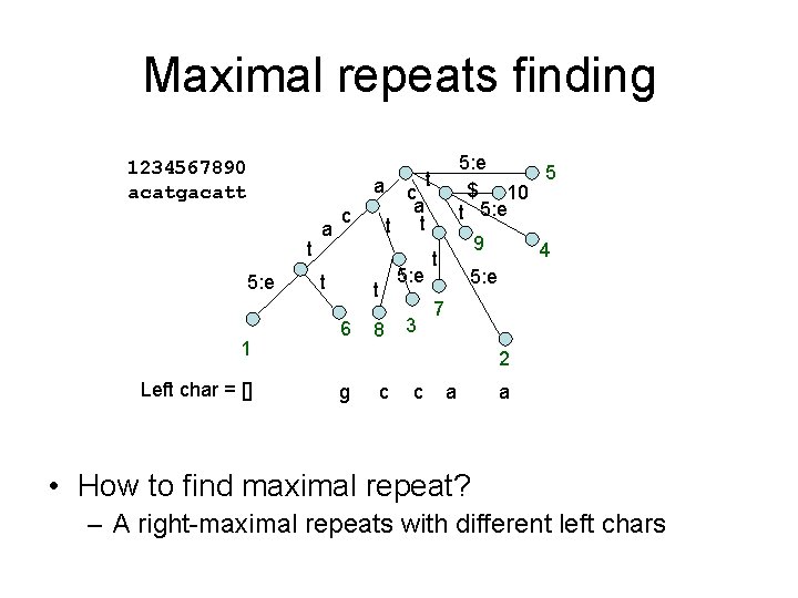 Maximal repeats finding 1234567890 acatgacatt a t 5: e 1 Left char = []