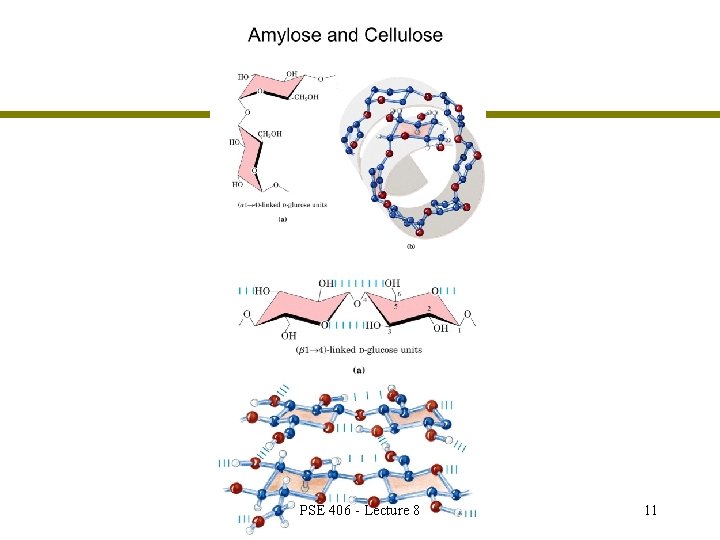 PSE 406 - Lecture 8 11 