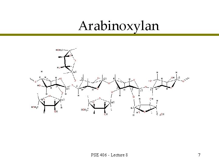Arabinoxylan PSE 406 - Lecture 8 7 
