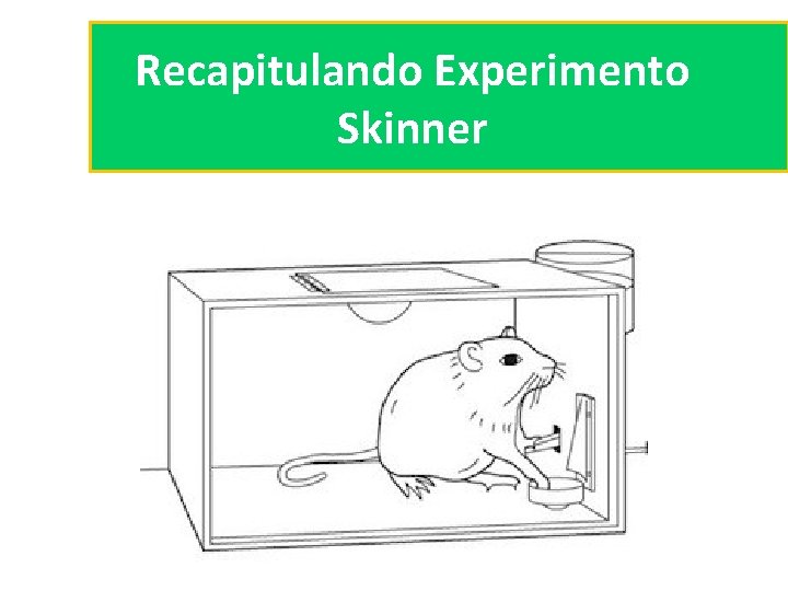 Recapitulando Experimento Skinner 