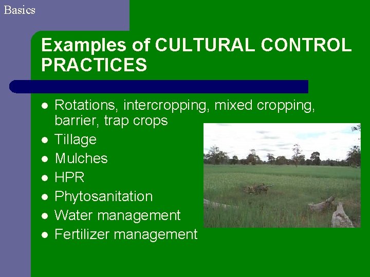 Basics Examples of CULTURAL CONTROL PRACTICES l l l l Rotations, intercropping, mixed cropping,