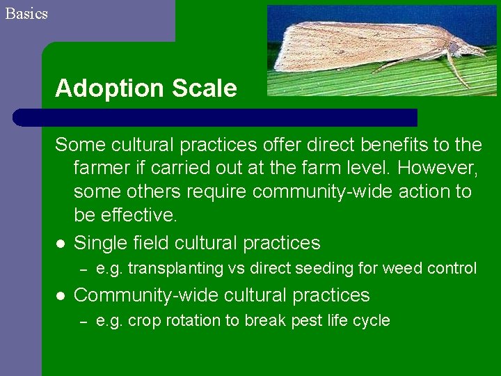 Basics Adoption Scale Some cultural practices offer direct benefits to the farmer if carried