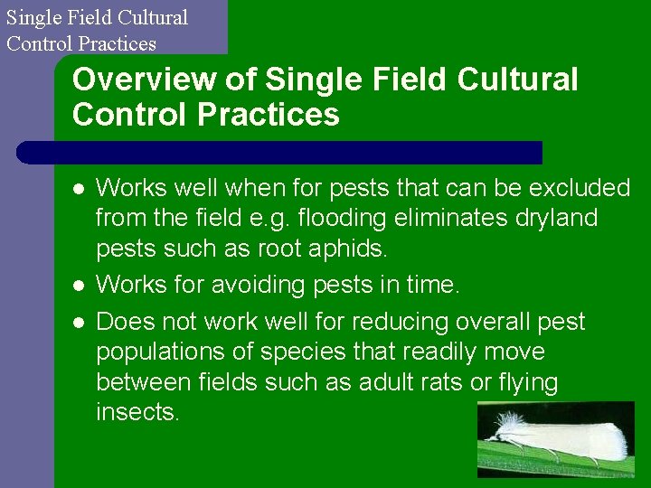 Single Field Cultural Control Practices Overview of Single Field Cultural Control Practices l l