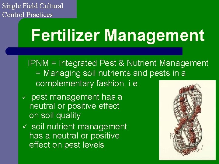 Single Field Cultural Control Practices Fertilizer Management IPNM = Integrated Pest & Nutrient Management