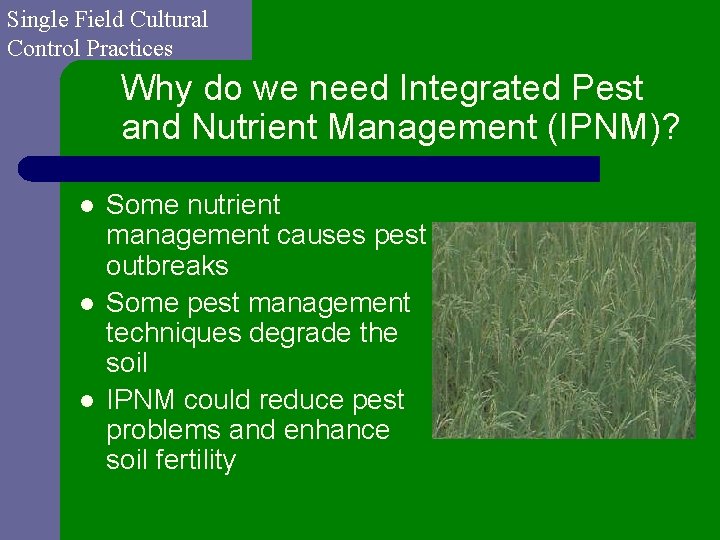 Single Field Cultural Control Practices Why do we need Integrated Pest and Nutrient Management