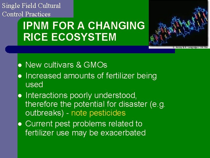 Single Field Cultural Control Practices IPNM FOR A CHANGING RICE ECOSYSTEM l l New