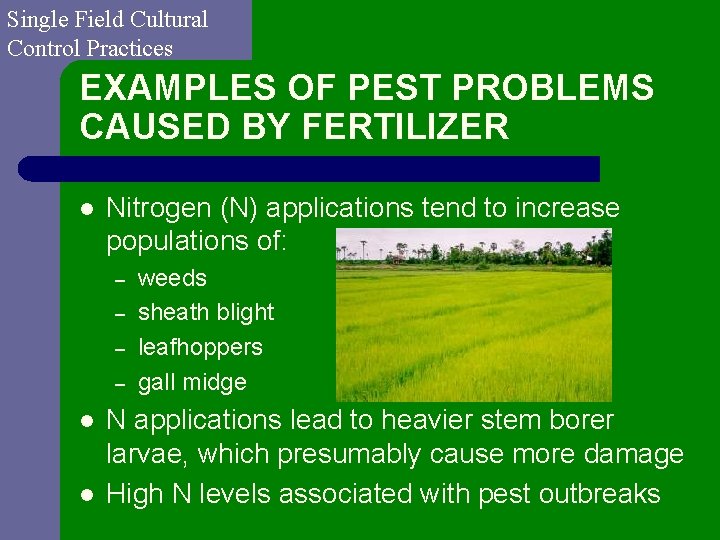 Single Field Cultural Control Practices EXAMPLES OF PEST PROBLEMS CAUSED BY FERTILIZER l Nitrogen