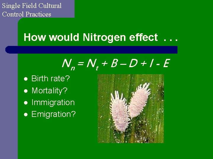 Single Field Cultural Control Practices How would Nitrogen effect . . . Nn =