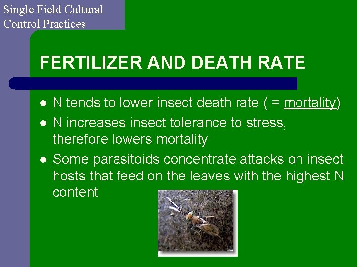 Single Field Cultural Control Practices FERTILIZER AND DEATH RATE l l l N tends
